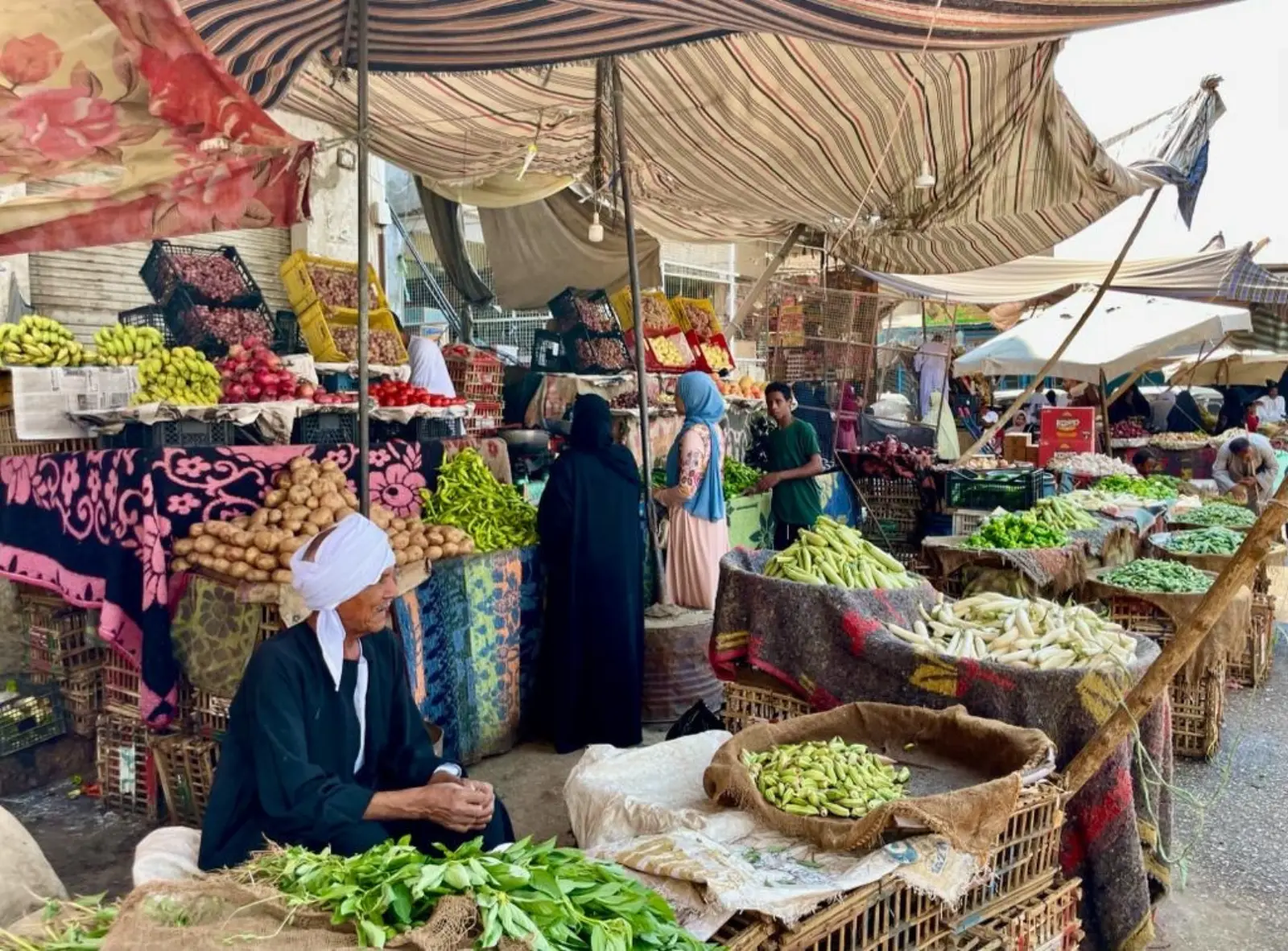 How Much to Tip in Egypt? Tipping Guide