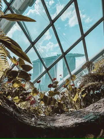 Marina Bay Sands seen through the glass of the Cloud Forest, Singapore
