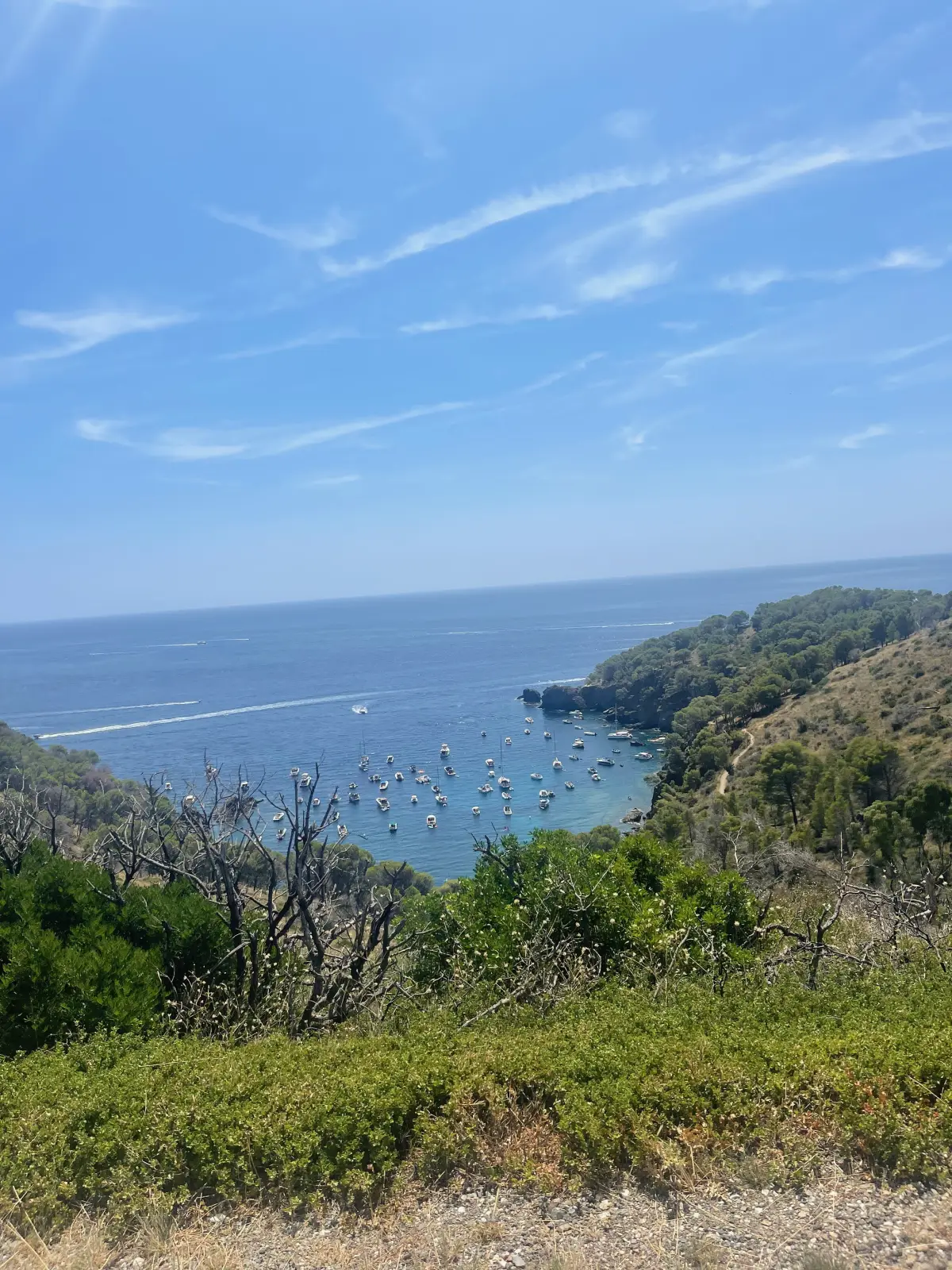 The coast around Cala Montjoi
