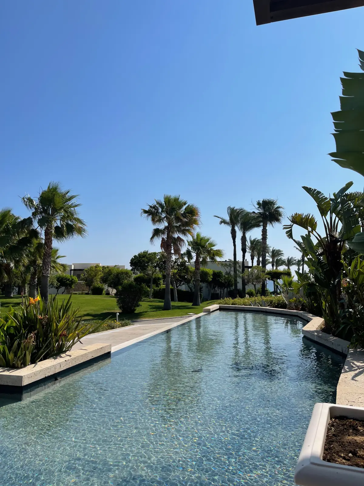 A garden pool at the hotel