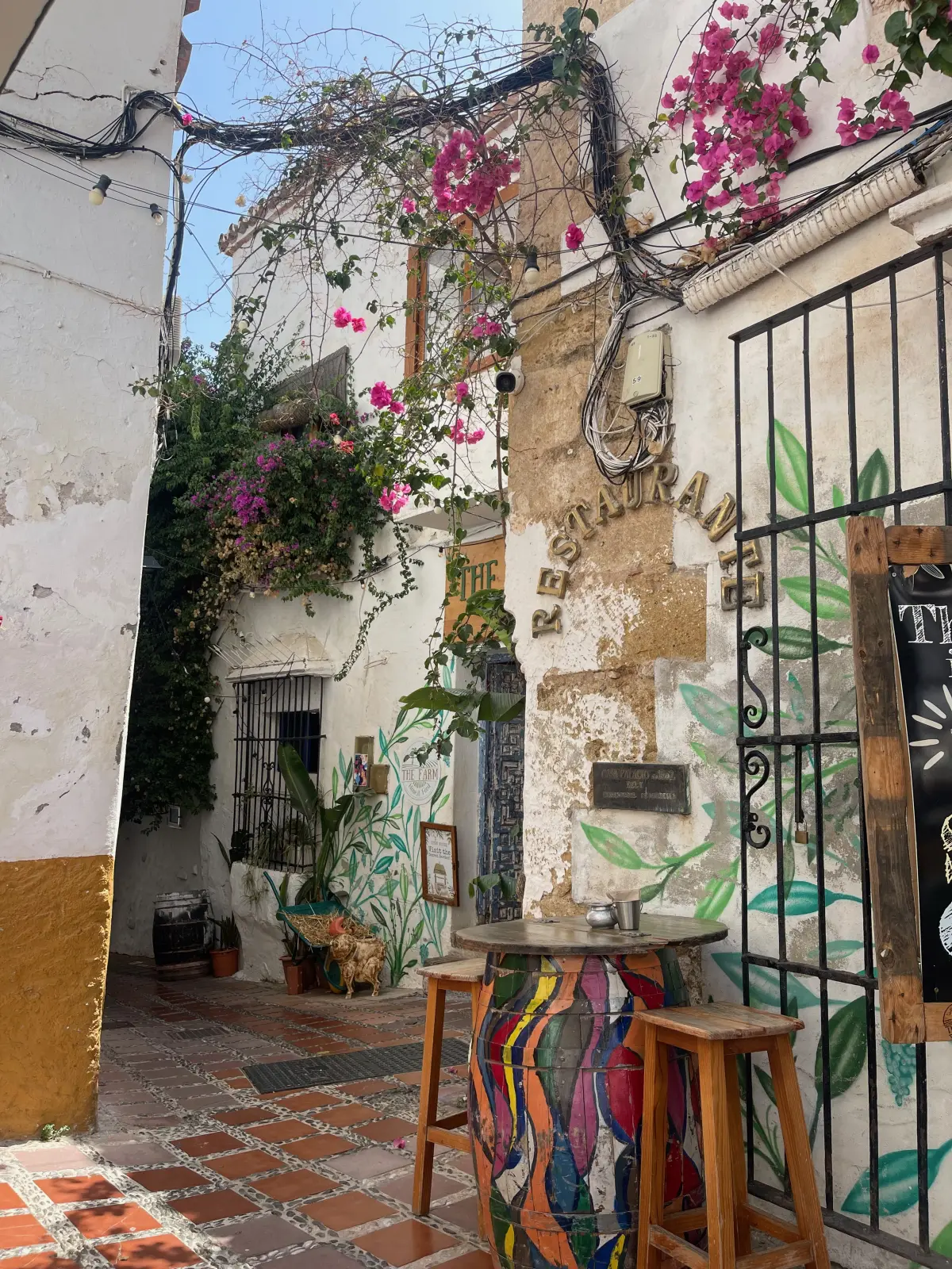A flower-filled street in Marbella’s old town