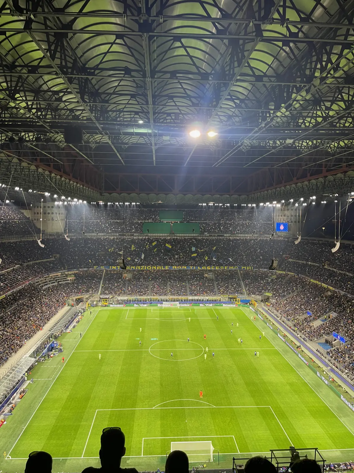 The pitch at San Siro under the floodlights