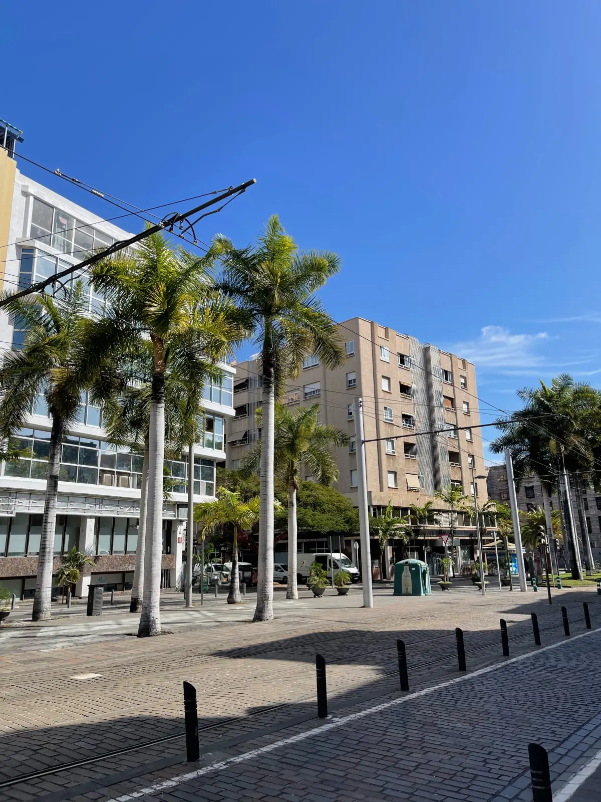 Exploring Santa Cruz de Tenerife