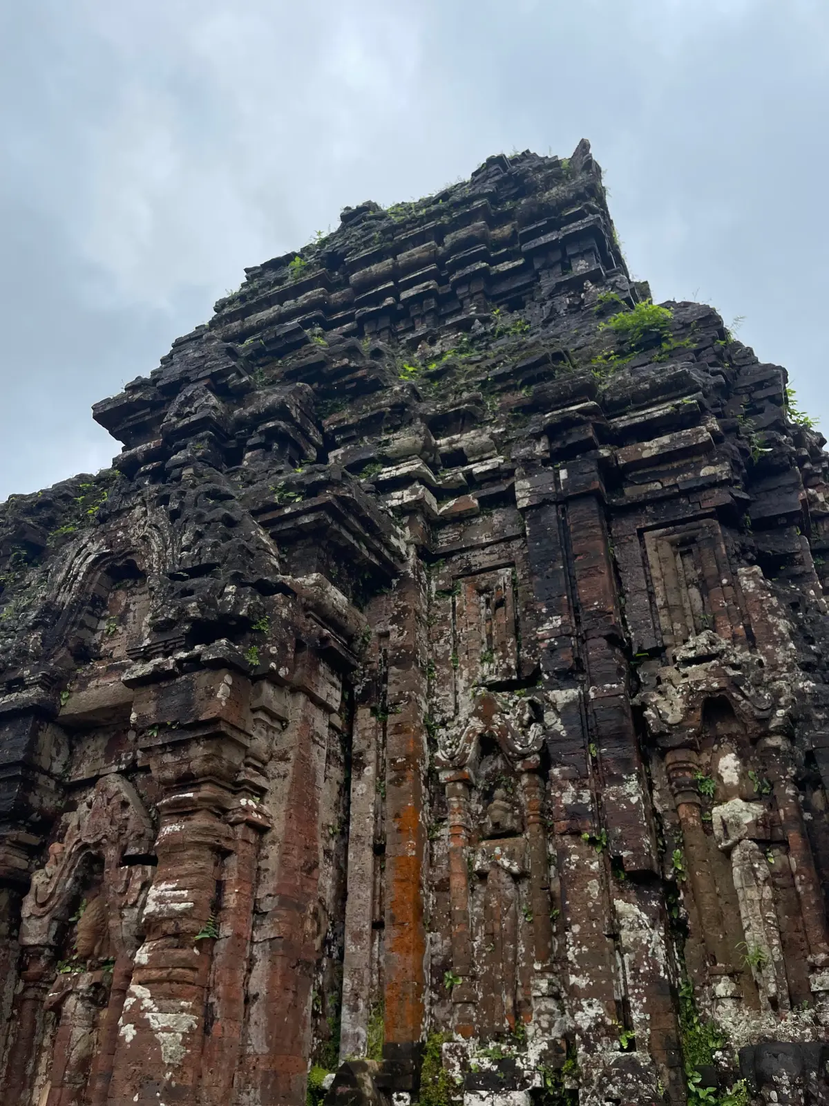 My Son Sanctuary