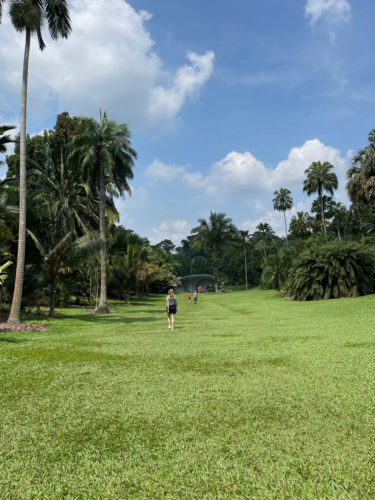 The lawns of the Singapore Botanic Gardens