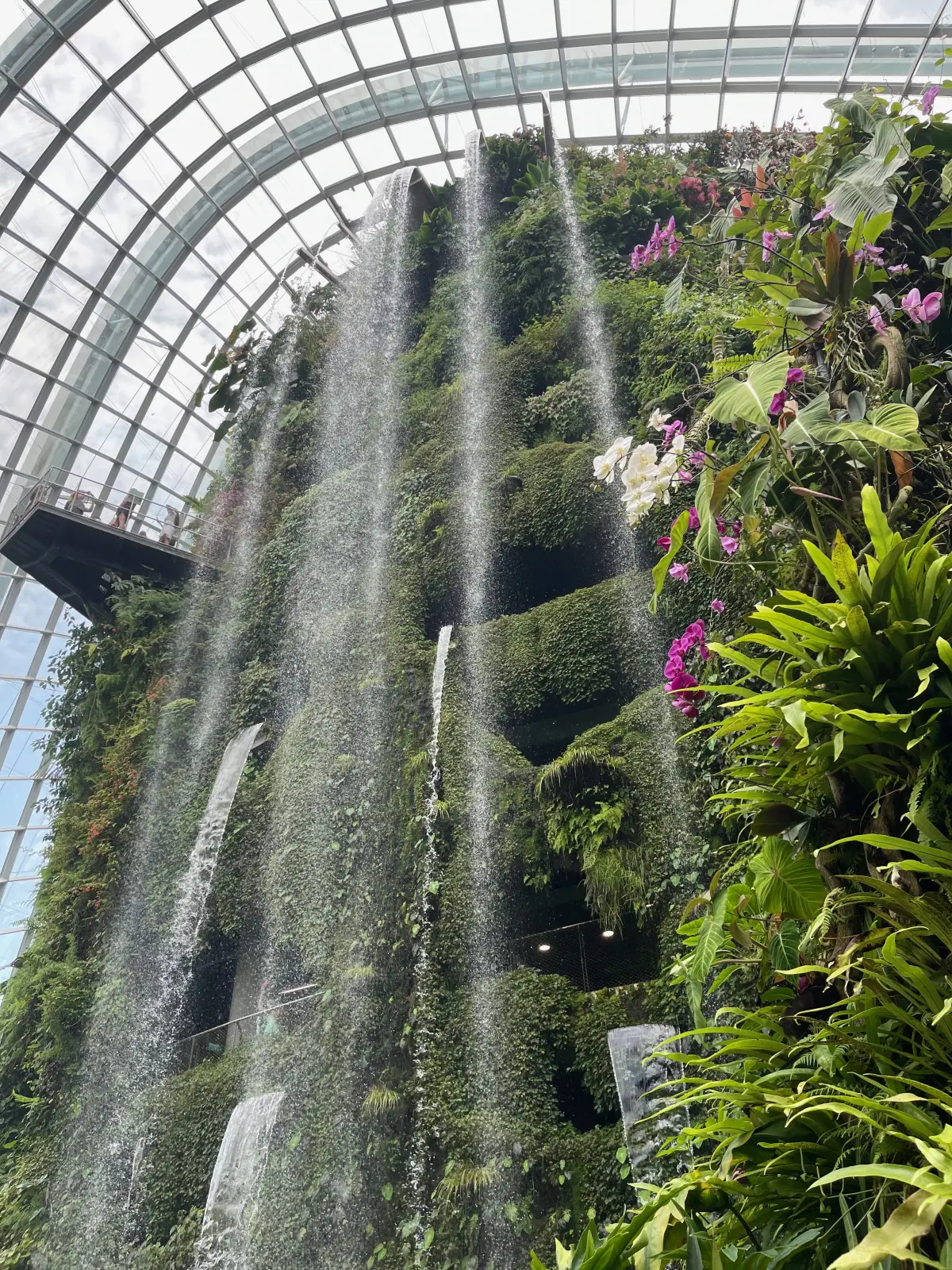 The indoor waterfall in the Cloud Forest dome