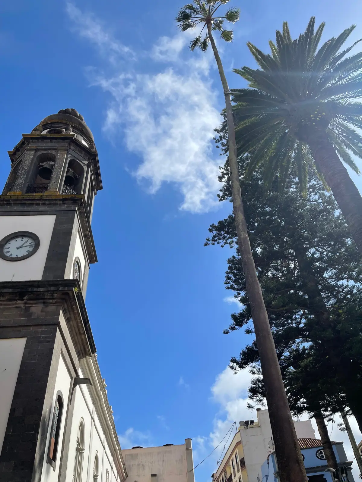 A street in La Laguna with a palm tree and church tower