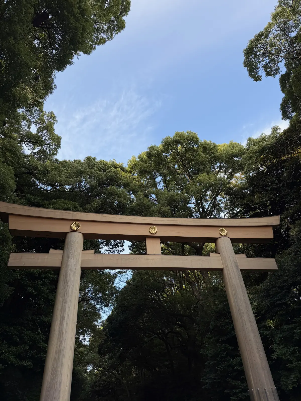 Wooden torii gate at Meiji Jingu