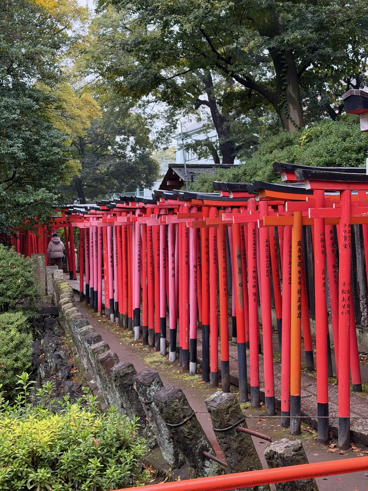 The tunnel of red torii gates at Nezu Shrine
