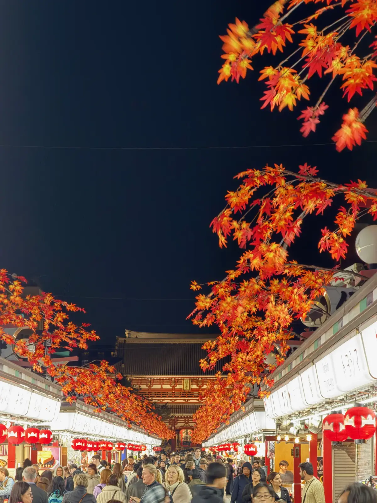 Nakamise street and Senso-ji at night with autumn maples